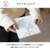 泉州 ガーゼハンカチ 個包装 プチギフト tsutsumi 紙パッケージ お返し ギフト 男性 女性 職場 退職