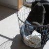 泉州タオル ミニバスタオル 3枚 soratowel 泉州 日本製 大きめフェイス 小さめバス 日本製ミニバスタオル コンパクトまとめ買い バスタオル 吸水 速乾 綿100％ 洗濯しやすい バスタオル代わり やわらか肌触り 高吸水 タオル 日本製タオル コンパクトサイズ 毎日使い 省スペース 軽量タオル