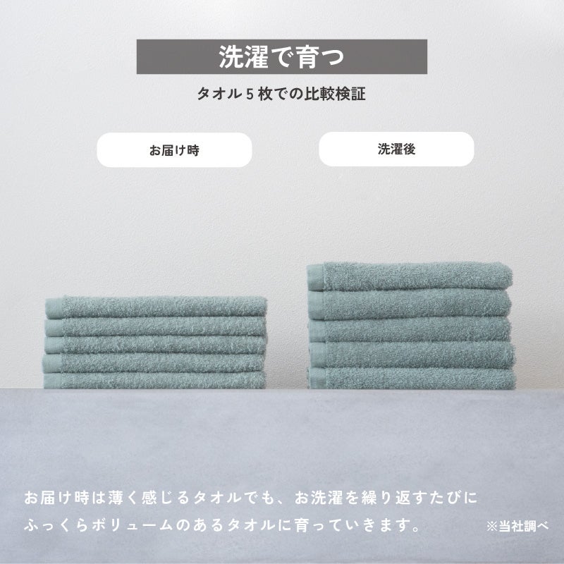 泉州 フェイスタオル uze 薄手 泉州タオル 日本製 デイリーユース グレー ホワイト ブルー カシス 単品 