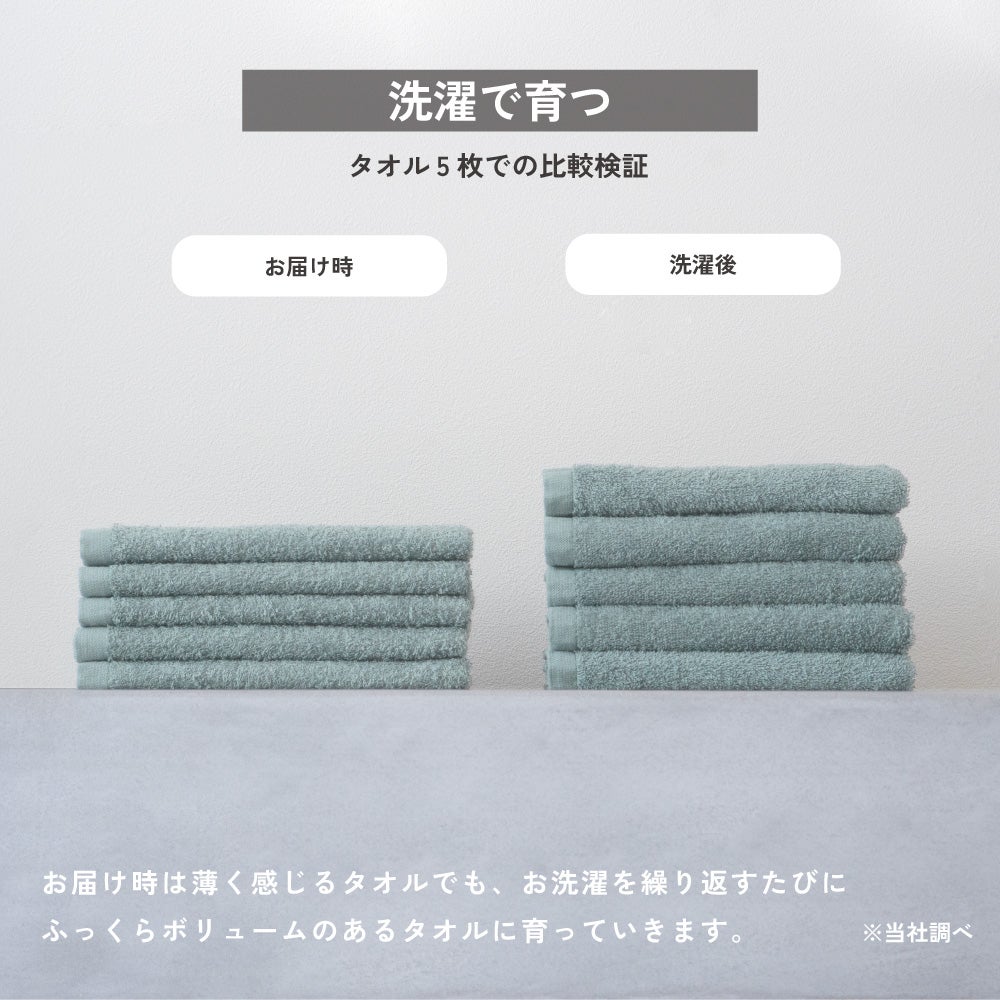 泉州タオル お年賀タオル 粗品タオル 干支タオル ご挨拶 フェイスタオル ひつじ柄 2027年 薄手 速乾 即納